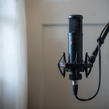 Load image into Gallery viewer, sE Electronics - sE2200 stormembransmikrofon - Musik Utan Gränser