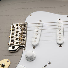 Load image into Gallery viewer, PRS - Silver Sky Dead Spec Limited Edition - Musik Utan Gränser