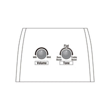 Ladda upp bild till gallerivisning, Ibanez - AE295-WK Wheathered Black - Musik Utan Gränser