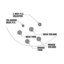 Ladda upp bild till gallerivisning, ASH300-TBC Tobacco Brown Artstar