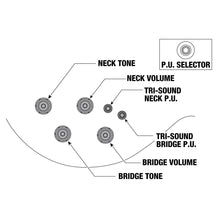 Ladda upp bild till gallerivisning, AR320-MBM Light Black Metallic