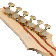 Ladda upp bild till gallerivisning, IV1RG Natural RG Visions Limited