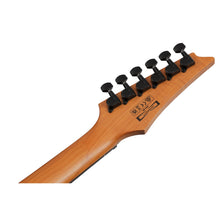 Ladda upp bild till gallerivisning, GRGR221FA-TDK Transparent Indigo Black