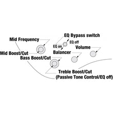 Ladda upp bild till gallerivisning, Ibanez - EHB1505SMS-FNL (Florid Natural Low Gloss) - Musik Utan Gränser