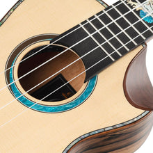 Ladda upp bild till gallerivisning, Ortega - EAGLESUITE-U Concert - Musik Utan Gränser