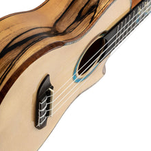 Ladda upp bild till gallerivisning, Ortega - EAGLESUITE-U Concert - Musik Utan Gränser