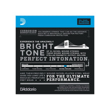 Load image into Gallery viewer, D'Addario - EXL170-12 12-strängset 018P-100 - Musik Utan Gränser