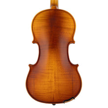 Load image into Gallery viewer, LV-1844 Elementary Series Violin 4/4