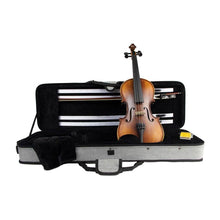 Load image into Gallery viewer, LV-1844 Elementary Series Violin 4/4