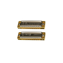 Load image into Gallery viewer, 1975P-C Low Rider munspel C Gold