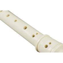 Load image into Gallery viewer, EH-3909 Plastblockflöjt, Barockgrepp