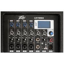 Ladda upp bild till gallerivisning, LN1263 Column Array PA System