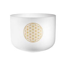 Load image into Gallery viewer, Meinl Sonic Energy - PCSB16FOL Planetary Tuned Crystal Bowl 16" Flower of Life - Musik Utan Gränser