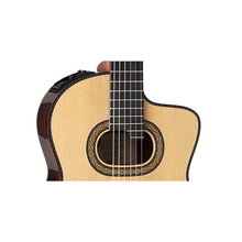 Load image into Gallery viewer, Takamine - TH90 Hirade Concert Classic - Musik Utan Gränser