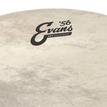 Load image into Gallery viewer, Evans - Calftone EQ4 22" BD22GB4CT - Musik Utan Gränser