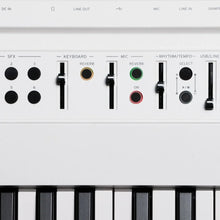 Load image into Gallery viewer, L1 Live