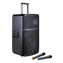 Load image into Gallery viewer, ProVibe 12 AIR