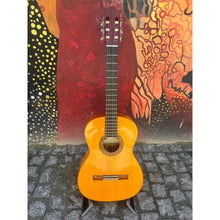 Load image into Gallery viewer, Flamenco