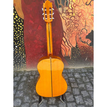 Load image into Gallery viewer, Flamenco