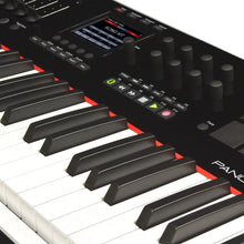 Ladda upp bild till gallerivisning, Nektar - Panorama P6 - Musik Utan Gränser