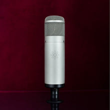 Ladda upp bild till gallerivisning, Quantum Electric - Q24 Vacuum Tube Condenser Microphone - Musik Utan Gränser
