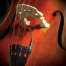 Load image into Gallery viewer, The Realist - RLSTSwB1 BLK Bulk Realist Woodtone pick-up för kontrabas - Musik Utan Gränser