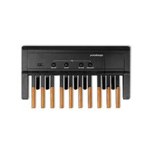 Load image into Gallery viewer, MP-117 Bass MIDI-pedal