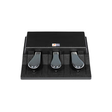 Load image into Gallery viewer, SLP3-D Sustain Pedal