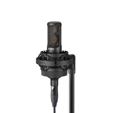 Load image into Gallery viewer, C-100 High Res Audio 2-vägs kondensatormikrofon