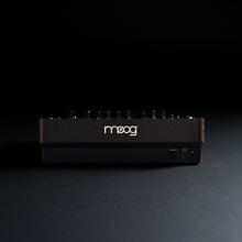 Load image into Gallery viewer, Moog - Spectravox - Musik Utan Gränser