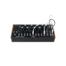 Ladda upp bild till gallerivisning, Moog - Spectravox - Musik Utan Gränser