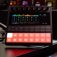 Load image into Gallery viewer, Bento