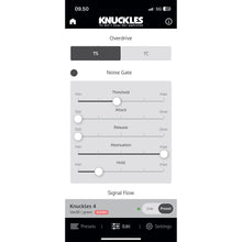 Ladda upp bild till gallerivisning, Universal Audio - Knuckles 92 Rev F Dual Rec Amplifier - Musik Utan Gränser