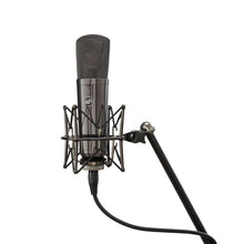 Ladda upp bild till gallerivisning, Warm Audio - WA-87 R2 Titanium Stereo Pair - Musik Utan Gränser