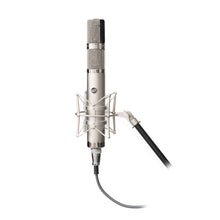 Load image into Gallery viewer, WA-CX24 Stereo Tube Condenser Microphone