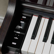 Ladda upp bild till gallerivisning, AP-550 BN Smart Hybrid Celviano