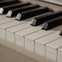 Ladda upp bild till gallerivisning, AP-750 GB Smart Hybrid Celviano