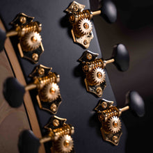 Load image into Gallery viewer, Gold-Passion NAT L.R.Baggs