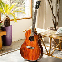 Load image into Gallery viewer, GA-DAO NAT