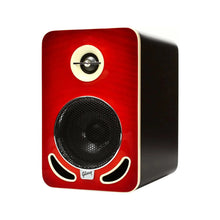 Ladda upp bild till gallerivisning, LP4C-EU Les Paul Monitor