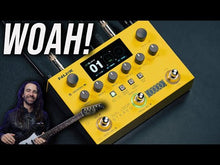 Ladda och spela upp video i Gallerivisaren, Dual Loop Stereo