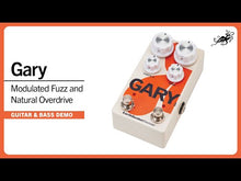 Ladda och spela upp video i Gallerivisaren, Gary Fuzz/Overdrive