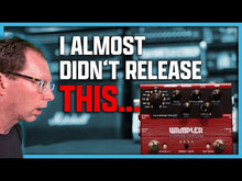 Load and play video in Gallery viewer, Catacombs Multi Reverb and Delay