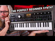 Ladda och spela upp video i Gallerivisaren, Microkorg 2