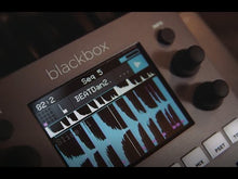 Ladda och spela upp video i Gallerivisaren, Blackbox