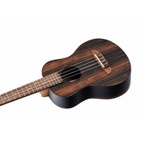 Load image into Gallery viewer, Ortega - RUEB-TE - Musik Utan Gränser