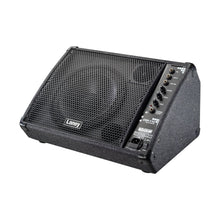 Ladda upp bild till gallerivisning, Laney - CXP-110 - Musik Utan Gränser