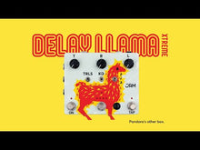 Ladda och spela upp video i Gallerivisaren, Delay Llama Xtreme