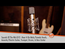 Load and play video in Gallery viewer, WA-CX12 large diaphragm tube microphone