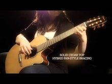 Load and play video in Gallery viewer, P3FCN